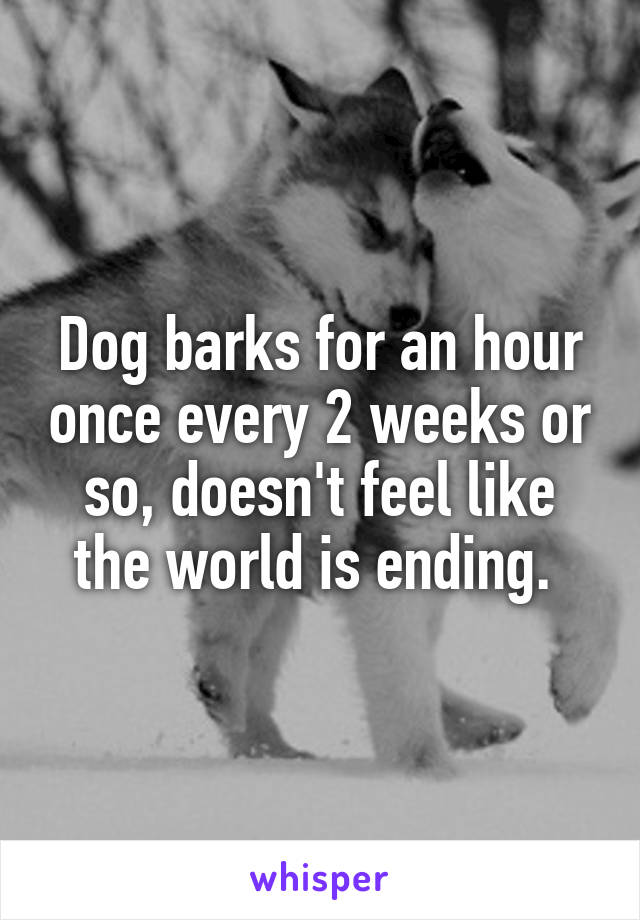 Dog barks for an hour once every 2 weeks or so, doesn't feel like the world is ending. 