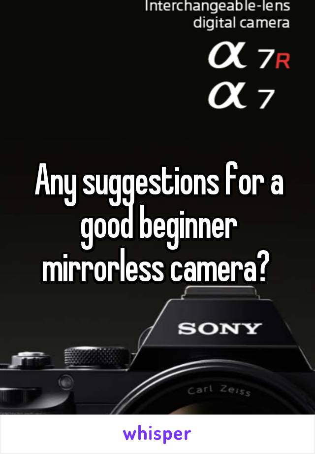 Any suggestions for a good beginner mirrorless camera? 