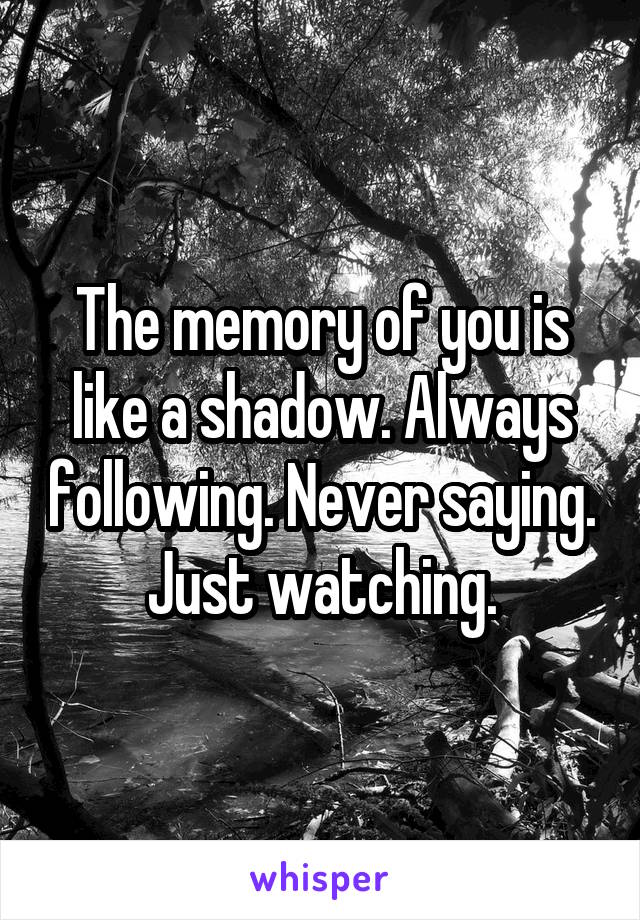 The memory of you is like a shadow. Always following. Never saying. Just watching.