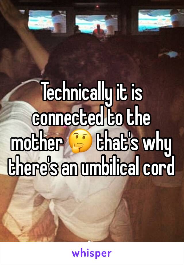 Technically it is connected to the mother 🤔 that's why there's an umbilical cord 