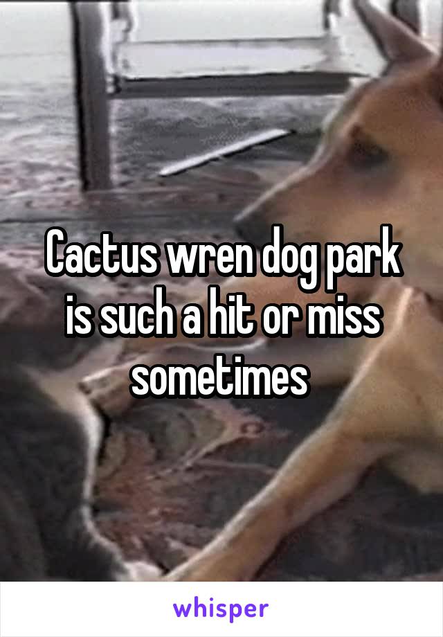 Cactus wren dog park is such a hit or miss sometimes 