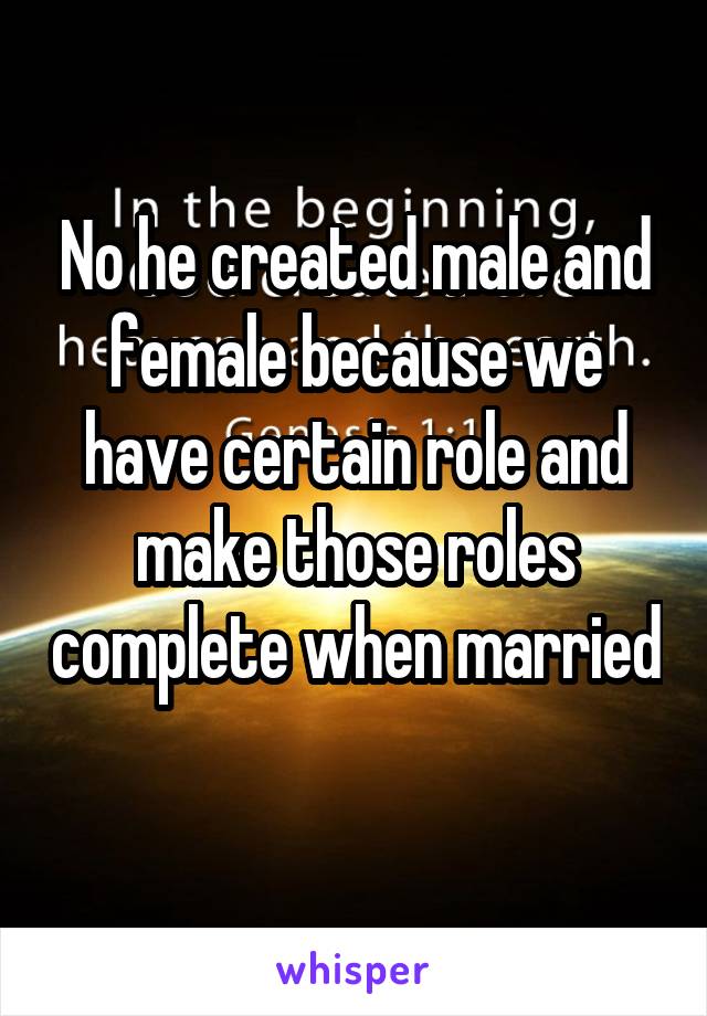 No he created male and female because we have certain role and make those roles complete when married 