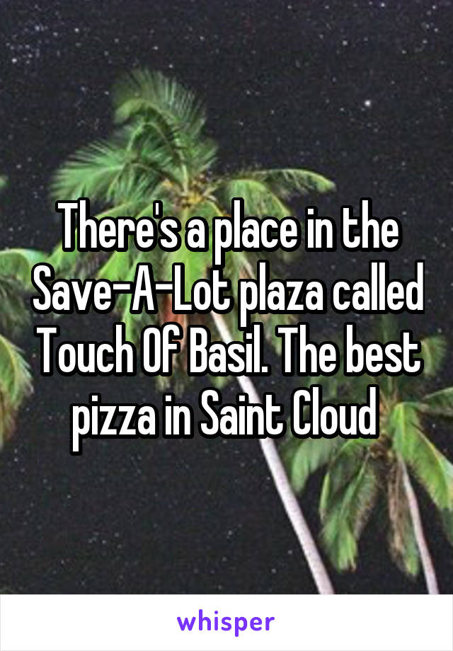 There's a place in the Save-A-Lot plaza called Touch Of Basil. The best pizza in Saint Cloud 