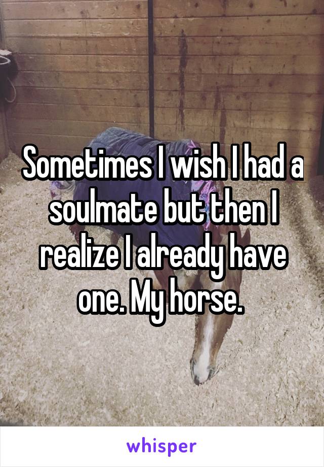 Sometimes I wish I had a soulmate but then I realize I already have one. My horse. 