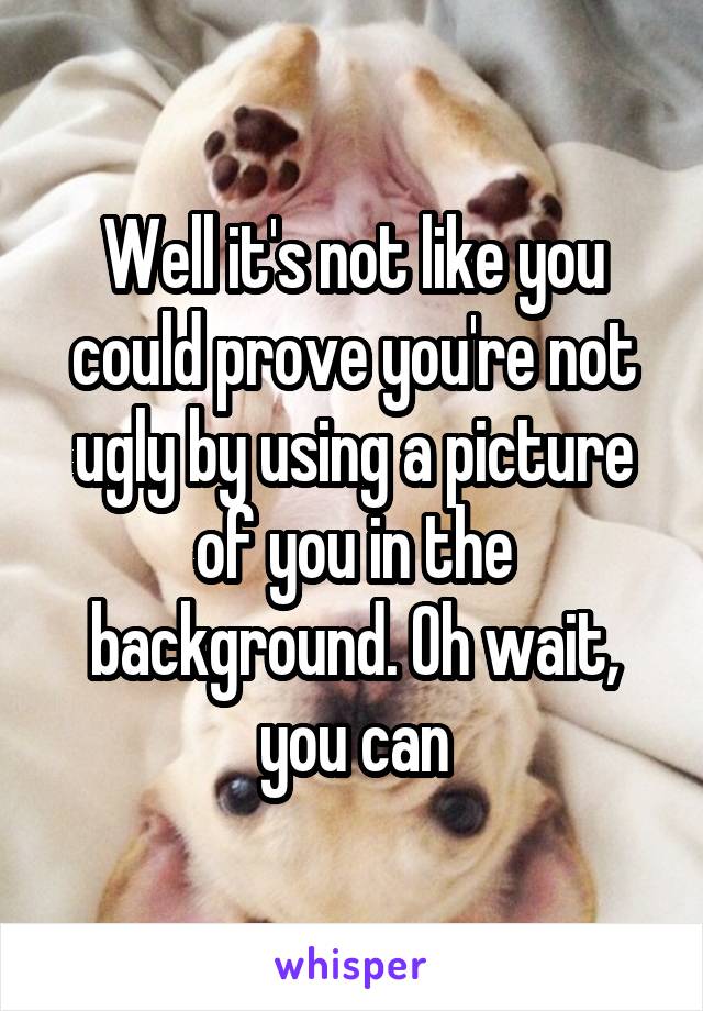 Well it's not like you could prove you're not ugly by using a picture of you in the background. Oh wait, you can