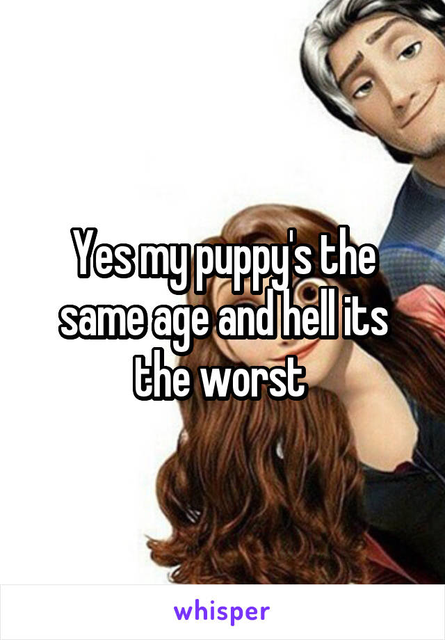 Yes my puppy's the same age and hell its the worst 