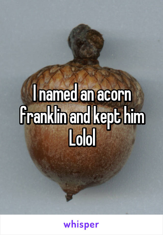 I named an acorn franklin and kept him Lolol