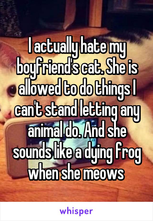 I actually hate my boyfriend's cat. She is allowed to do things I can't stand letting any animal do. And she sounds like a dying frog when she meows 