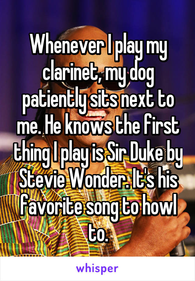 Whenever I play my clarinet, my dog patiently sits next to me. He knows the first thing I play is Sir Duke by Stevie Wonder. It's his favorite song to howl to.