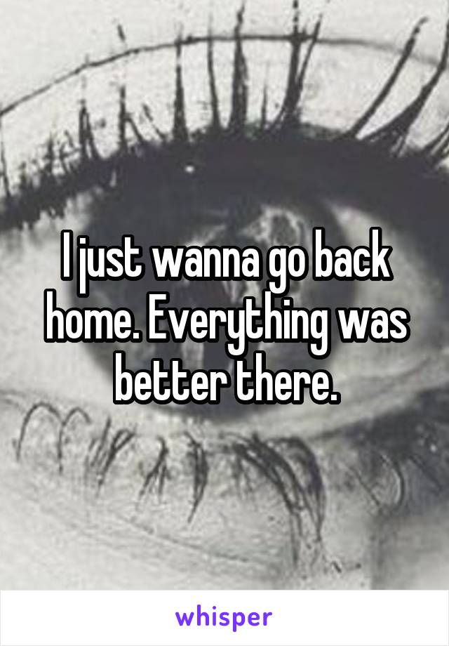 I just wanna go back home. Everything was better there.