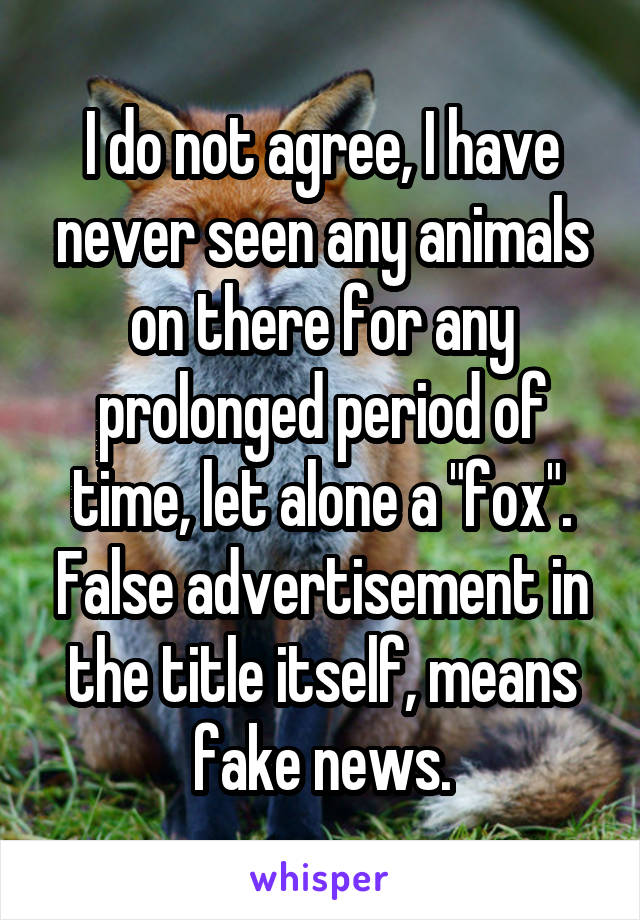 I do not agree, I have never seen any animals on there for any prolonged period of time, let alone a "fox". False advertisement in the title itself, means fake news.