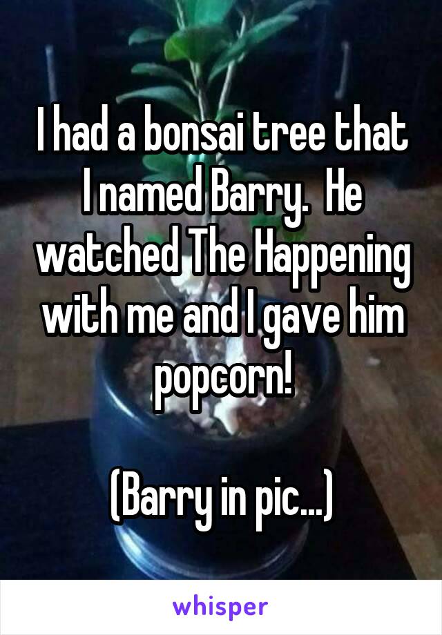 I had a bonsai tree that I named Barry.  He watched The Happening with me and I gave him popcorn!

(Barry in pic...)