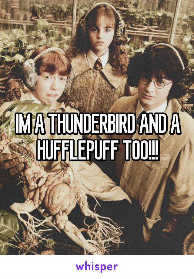 IM A THUNDERBIRD AND A HUFFLEPUFF TOO!!!