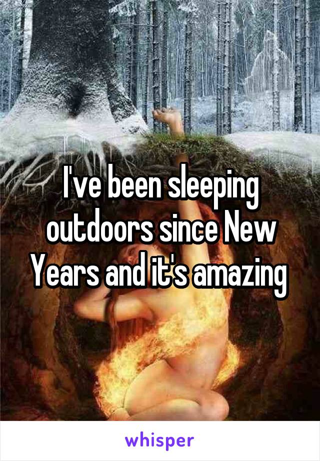 I've been sleeping outdoors since New Years and it's amazing 