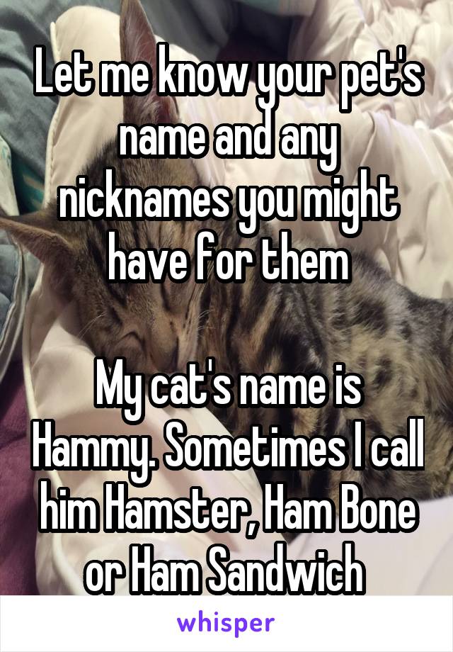 Let me know your pet's name and any nicknames you might have for them

My cat's name is Hammy. Sometimes I call him Hamster, Ham Bone or Ham Sandwich 