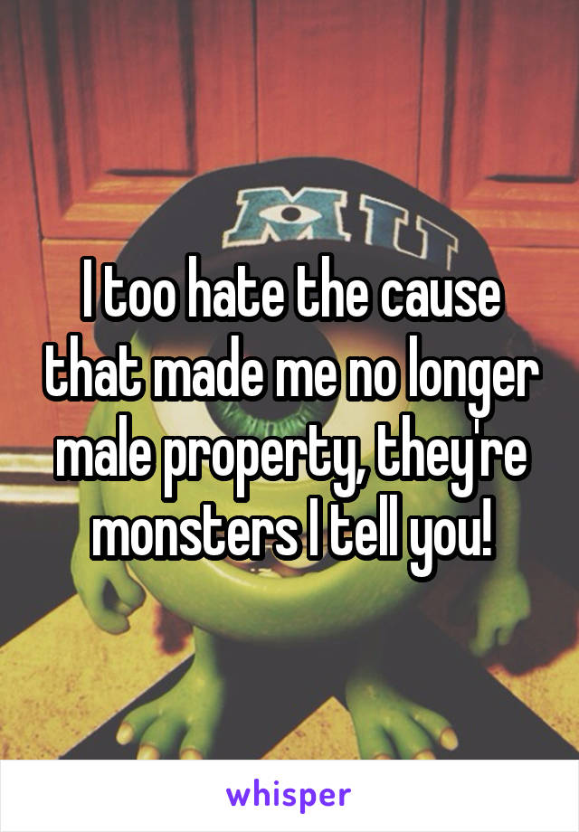 I too hate the cause that made me no longer male property, they're monsters I tell you!