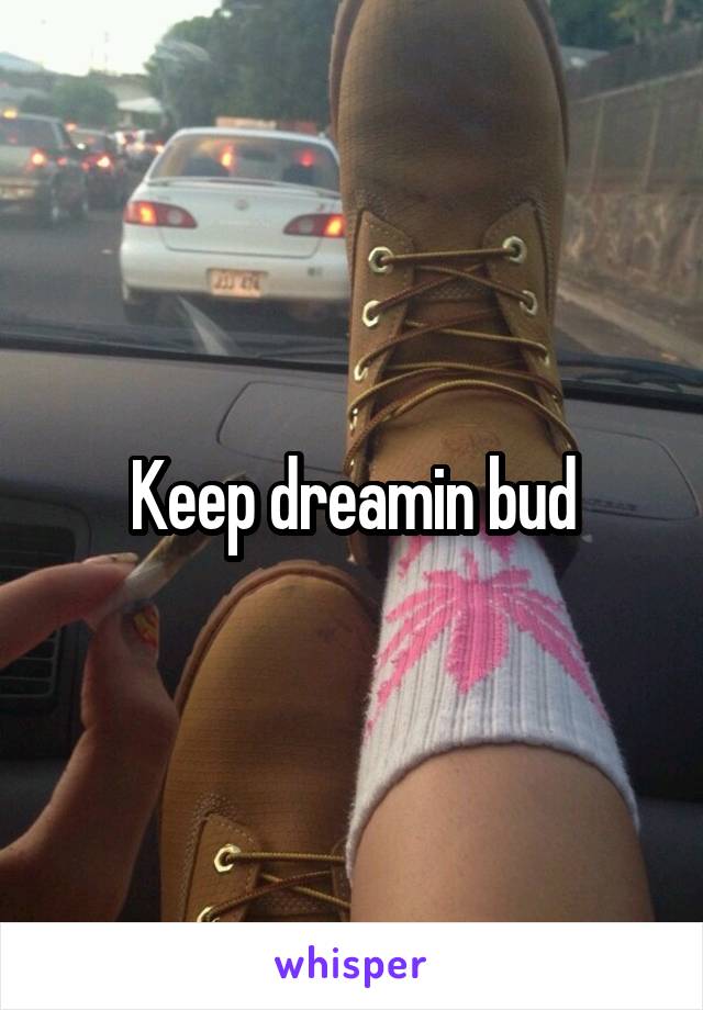 Keep dreamin bud