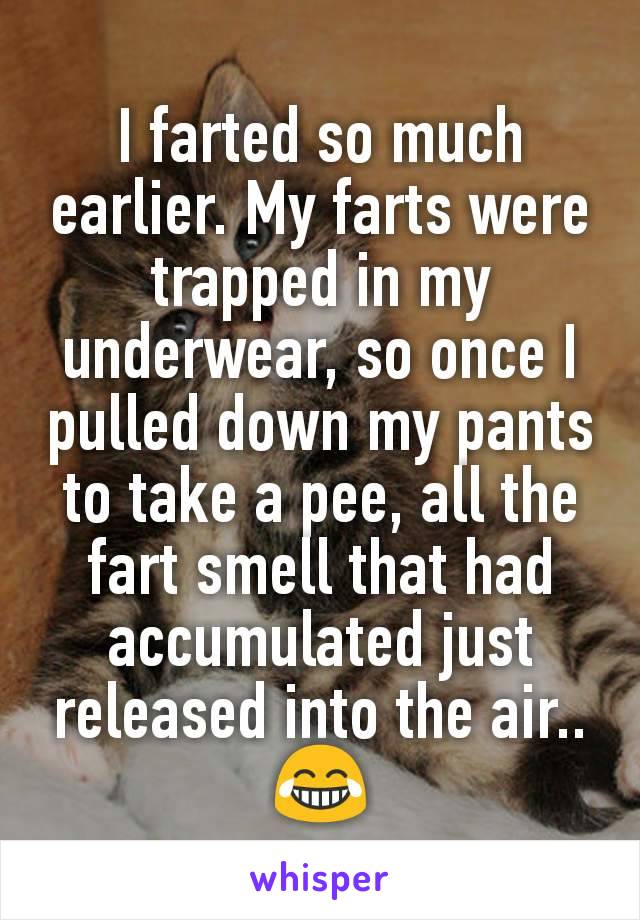 I farted so much earlier. My farts were trapped in my underwear, so once I pulled down my pants to take a pee, all the fart smell that had accumulated just released into the air.. 😂