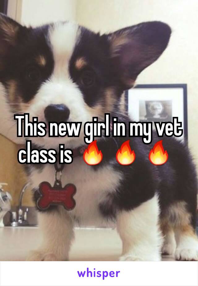 This new girl in my vet class is 🔥🔥🔥 