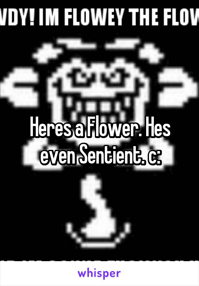 Heres a Flower. Hes even Sentient. c: