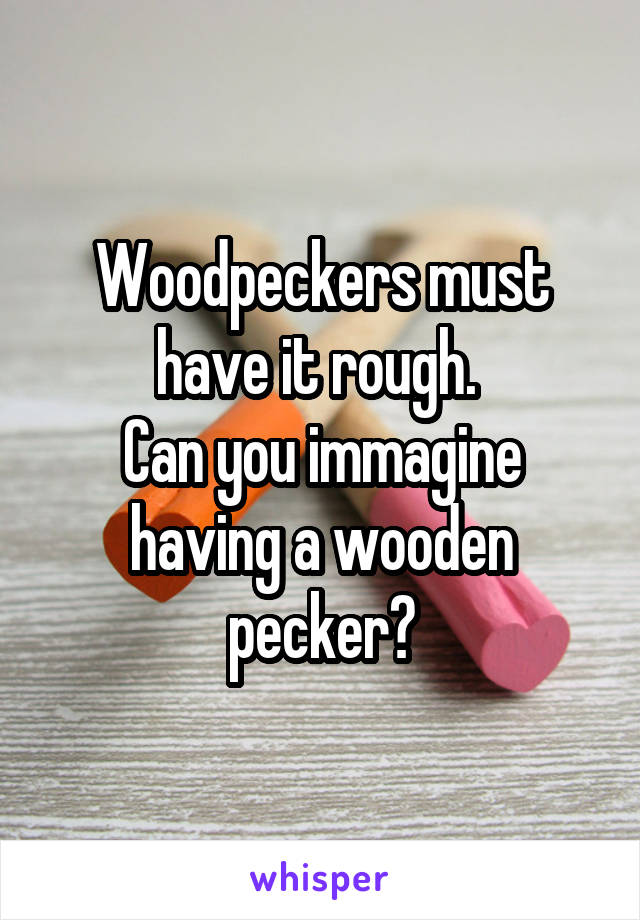 Woodpeckers must have it rough. 
Can you immagine having a wooden pecker?