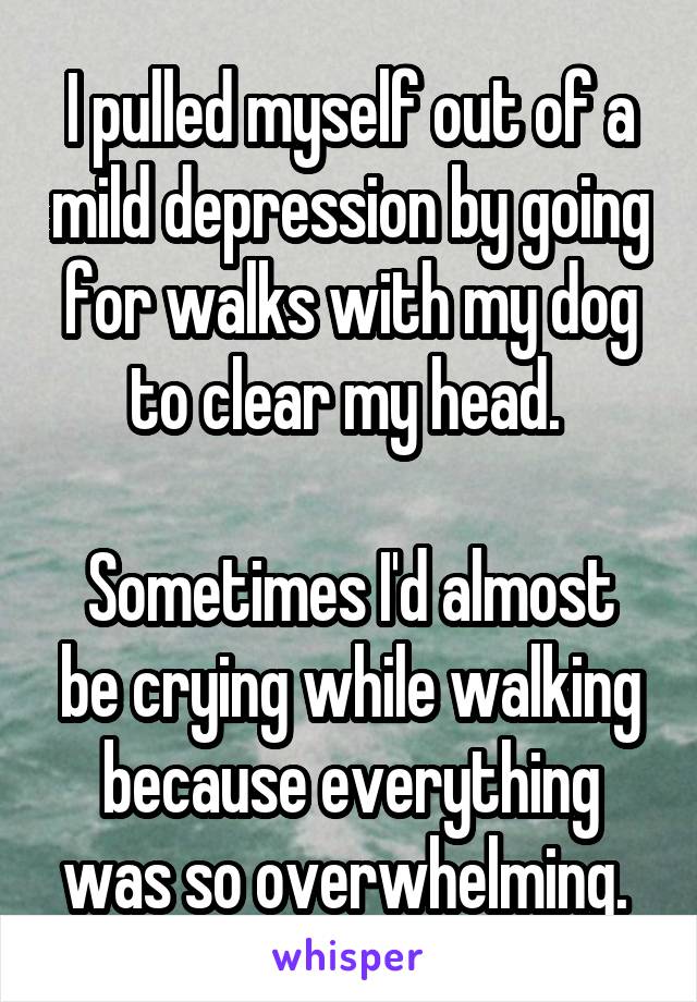 I pulled myself out of a mild depression by going for walks with my dog to clear my head. 

Sometimes I'd almost be crying while walking because everything was so overwhelming. 