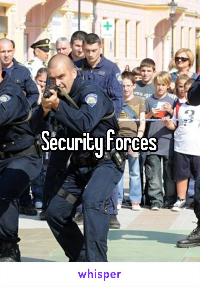 Security forces 