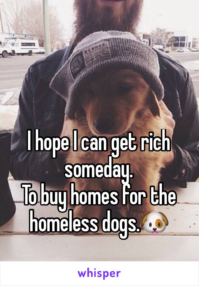 I hope I can get rich someday.
To buy homes for the homeless dogs.🐶