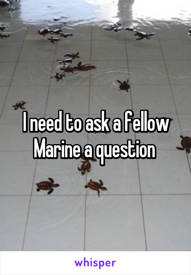 I need to ask a fellow Marine a question 