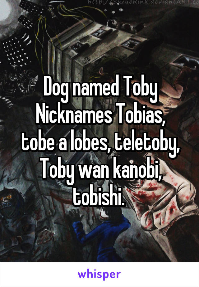 Dog named Toby
Nicknames Tobias, tobe a lobes, teletoby, Toby wan kanobi, tobishi. 