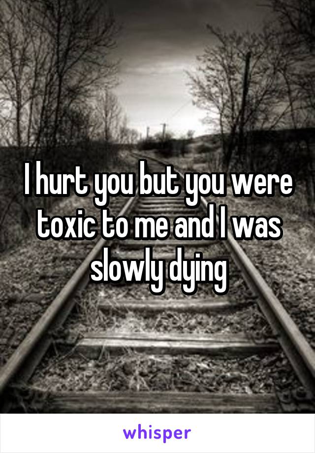 I hurt you but you were toxic to me and I was slowly dying