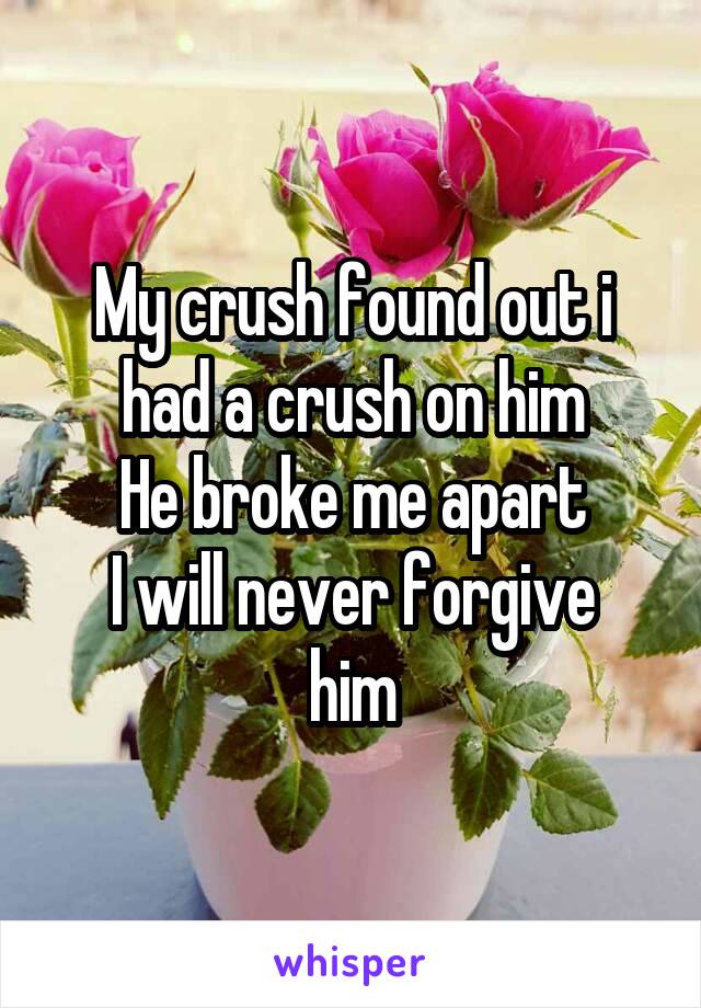 My crush found out i had a crush on him
He broke me apart
I will never forgive him