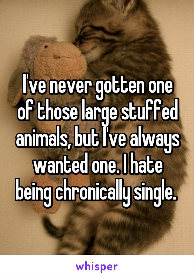 I've never gotten one of those large stuffed animals, but I've always wanted one. I hate being chronically single. 