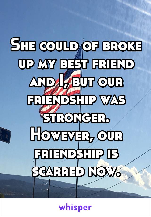 She could of broke up my best friend and I, but our friendship was stronger. However, our friendship is scarred now.