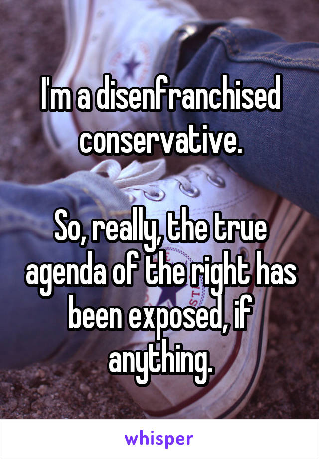 I'm a disenfranchised conservative.

So, really, the true agenda of the right has been exposed, if anything.