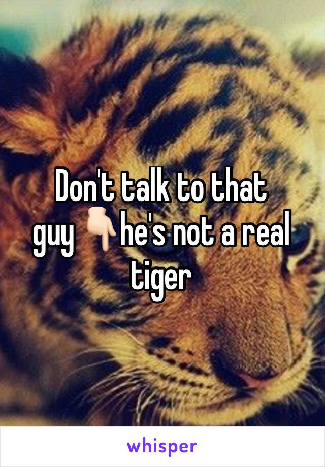 Don't talk to that guy👇🏻he's not a real tiger