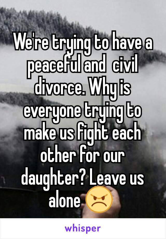 We're trying to have a peaceful and  civil divorce. Why is everyone trying to make us fight each other for our daughter? Leave us alone 😠 