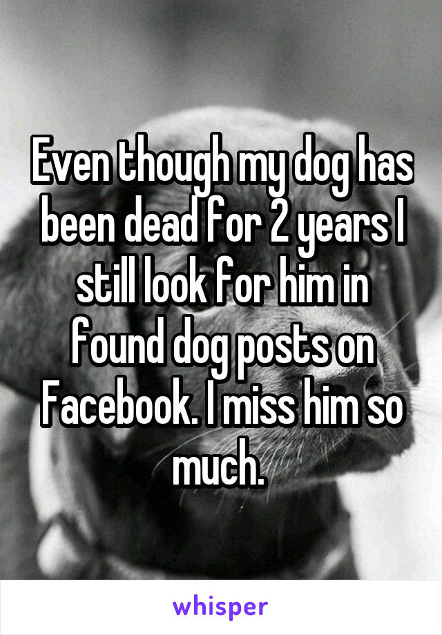 Even though my dog has been dead for 2 years I still look for him in found dog posts on Facebook. I miss him so much. 