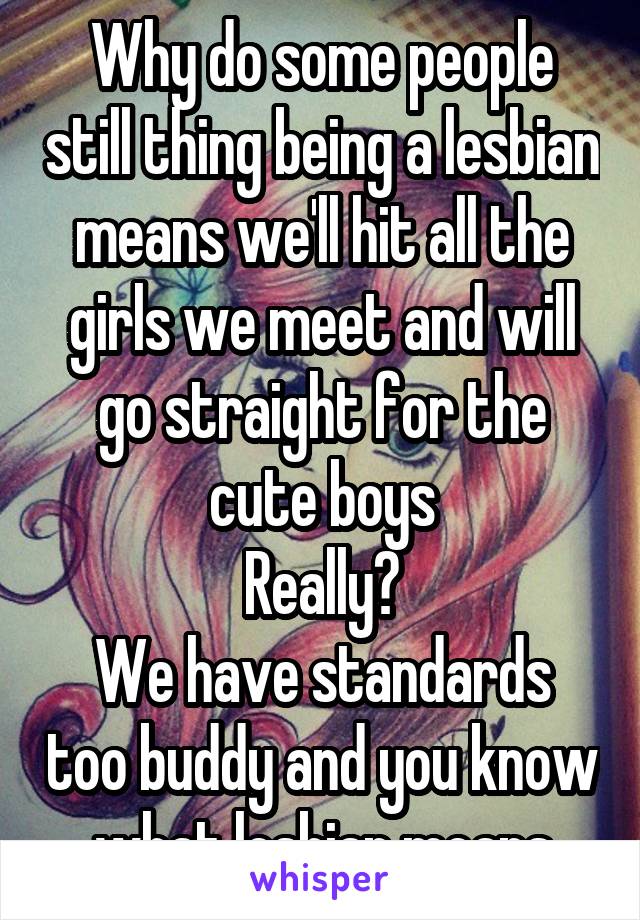 Why do some people still thing being a lesbian means we'll hit all the girls we meet and will go straight for the cute boys
Really?
We have standards too buddy and you know what lesbian means