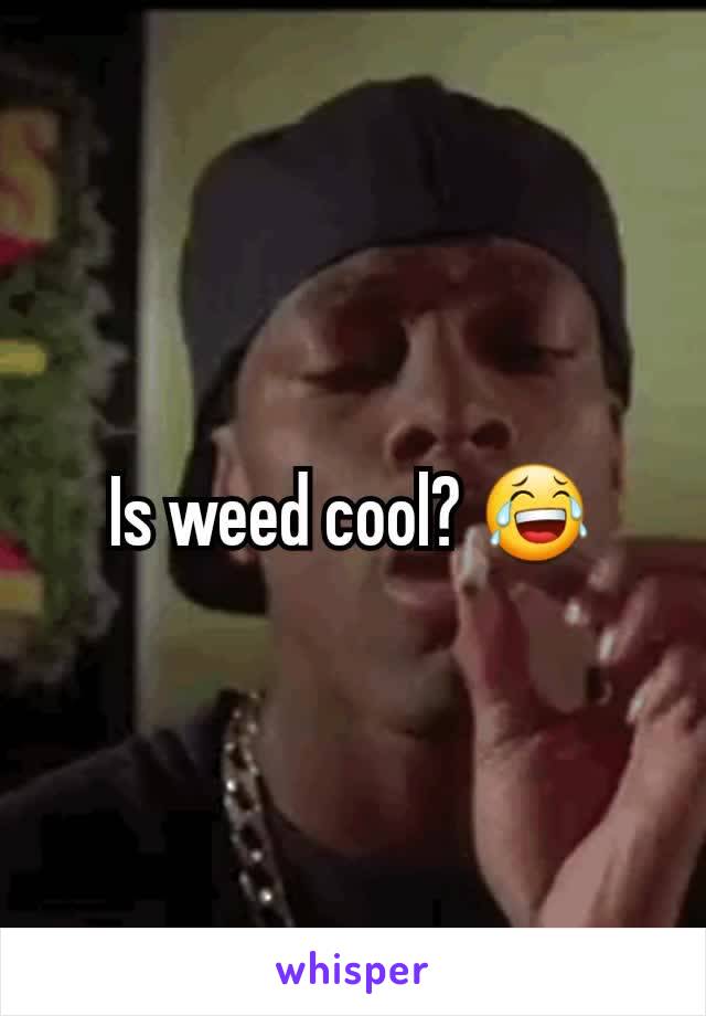 Is weed cool? 😂