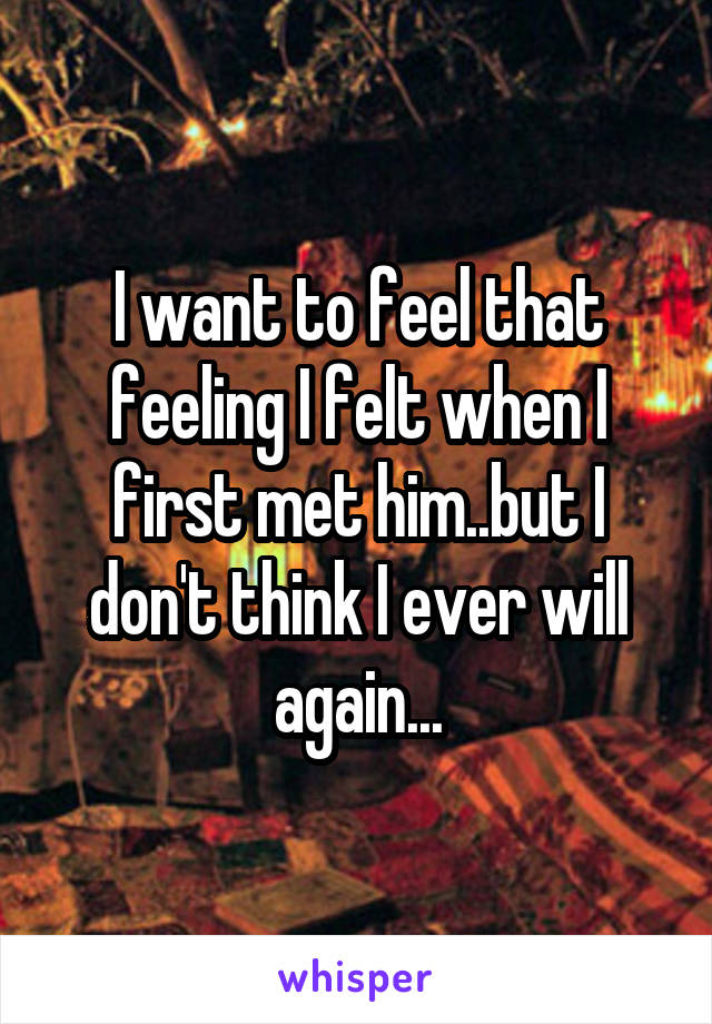 I want to feel that feeling I felt when I first met him..but I don't think I ever will again...