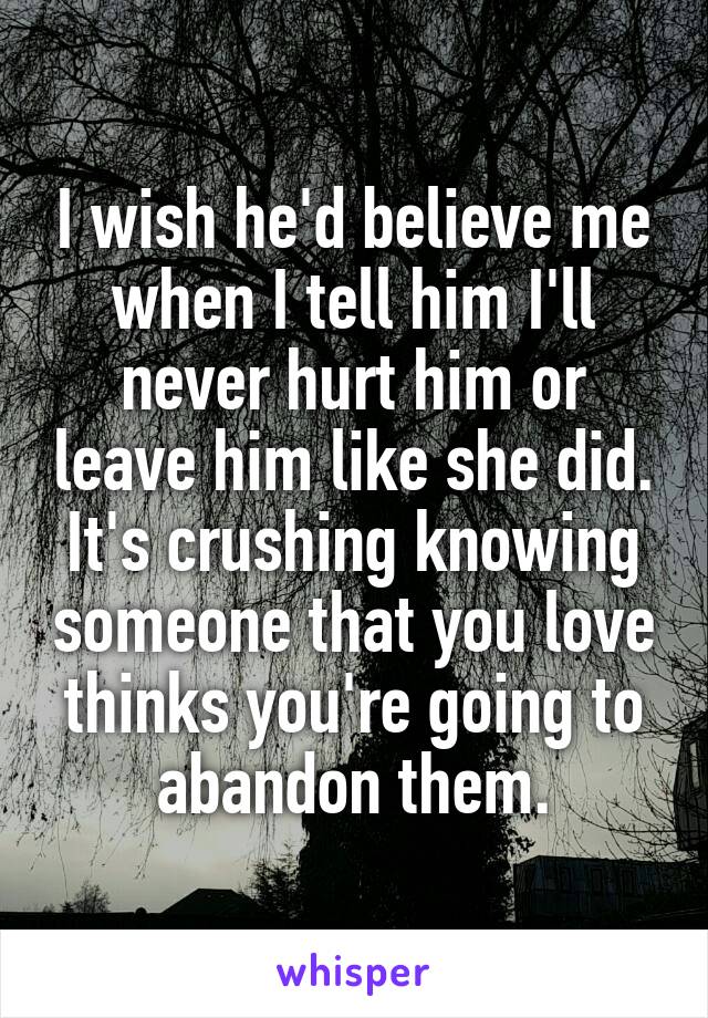 I wish he'd believe me when I tell him I'll never hurt him or leave him like she did. It's crushing knowing someone that you love thinks you're going to abandon them.