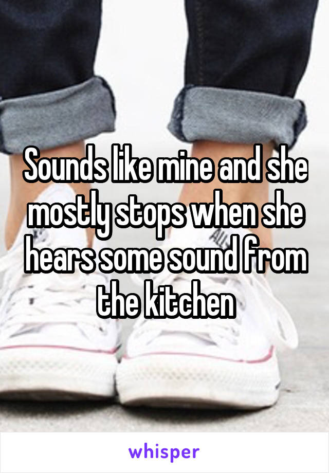 Sounds like mine and she mostly stops when she hears some sound from the kitchen