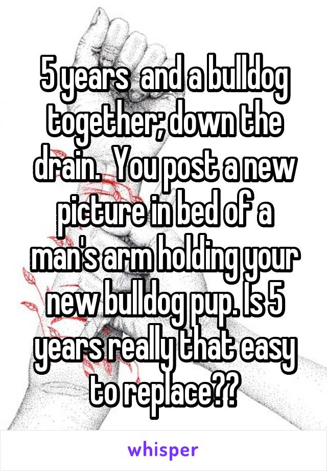 5 years  and a bulldog together; down the drain.  You post a new picture in bed of a man's arm holding your new bulldog pup. Is 5 years really that easy to replace??