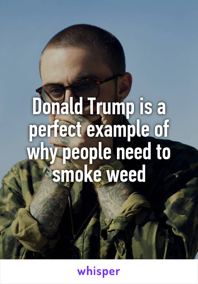 Donald Trump is a perfect example of why people need to smoke weed