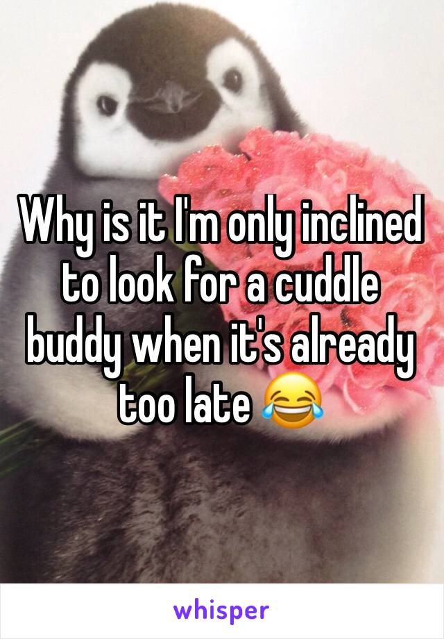 Why is it I'm only inclined to look for a cuddle buddy when it's already too late 😂