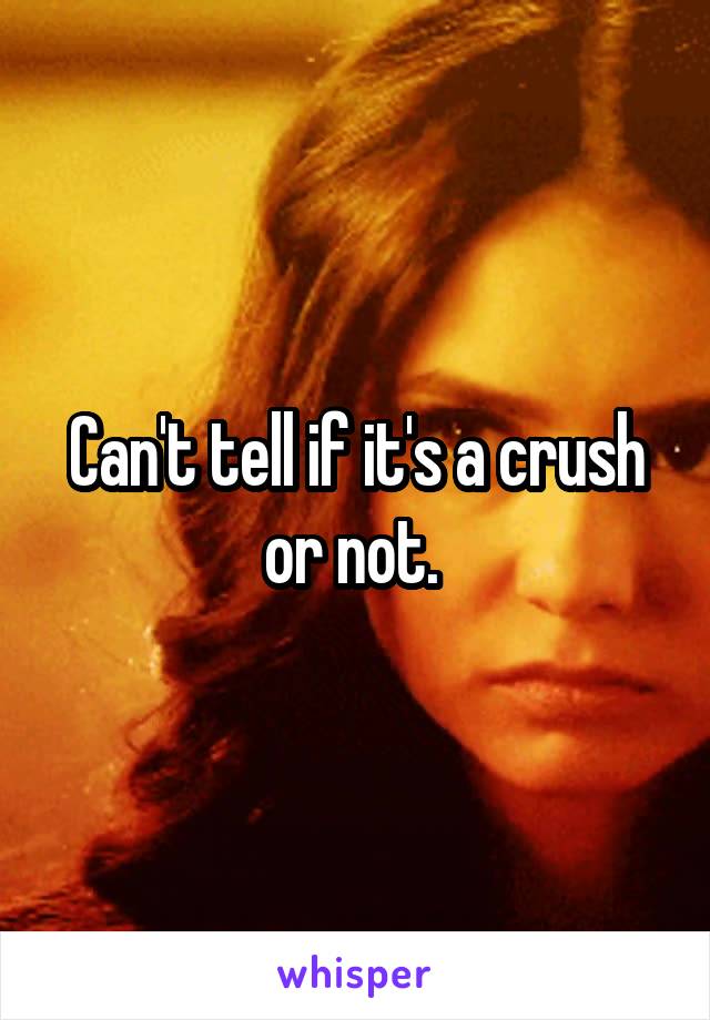 Can't tell if it's a crush or not. 