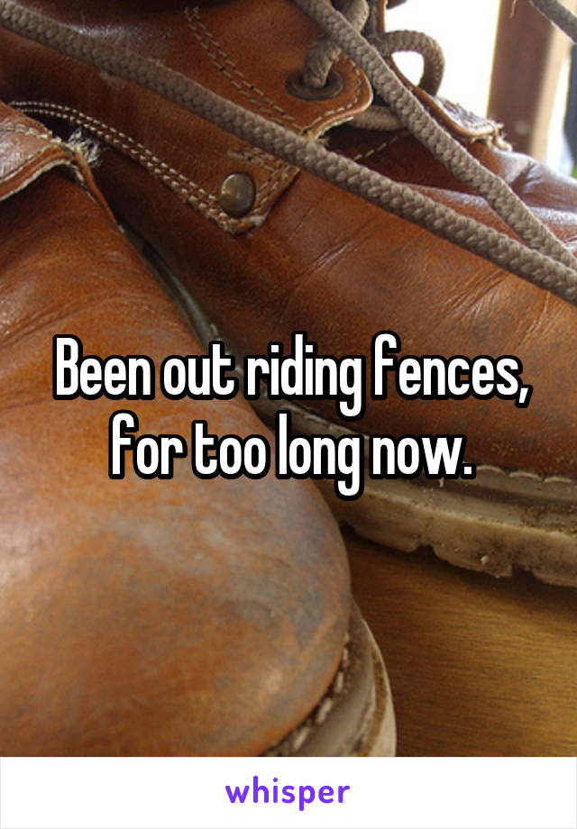 Been out riding fences, for too long now.