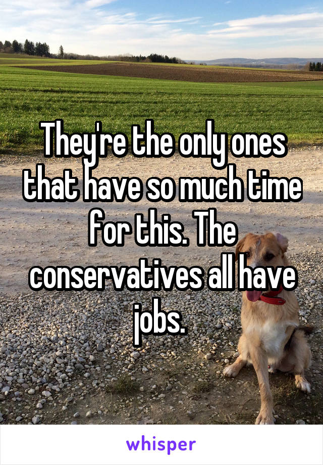 They're the only ones that have so much time for this. The conservatives all have jobs. 