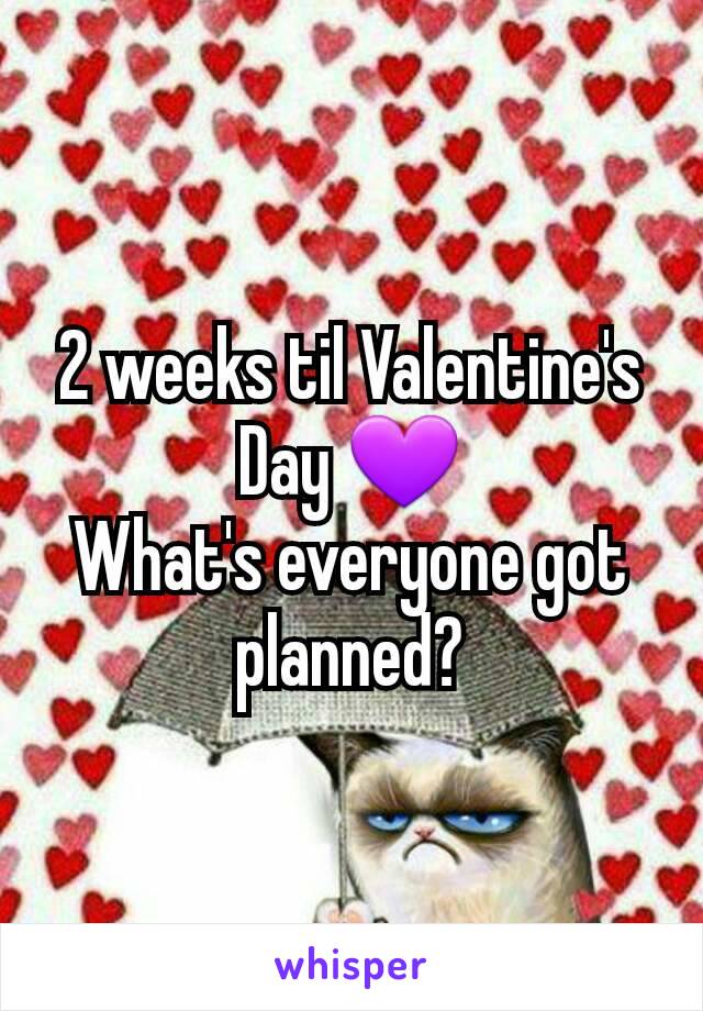 2 weeks til Valentine's Day 💜
What's everyone got planned?